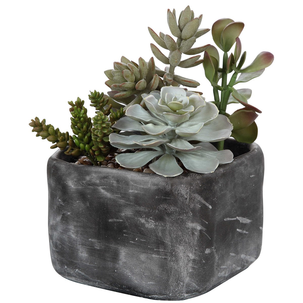 Alverio Succulents