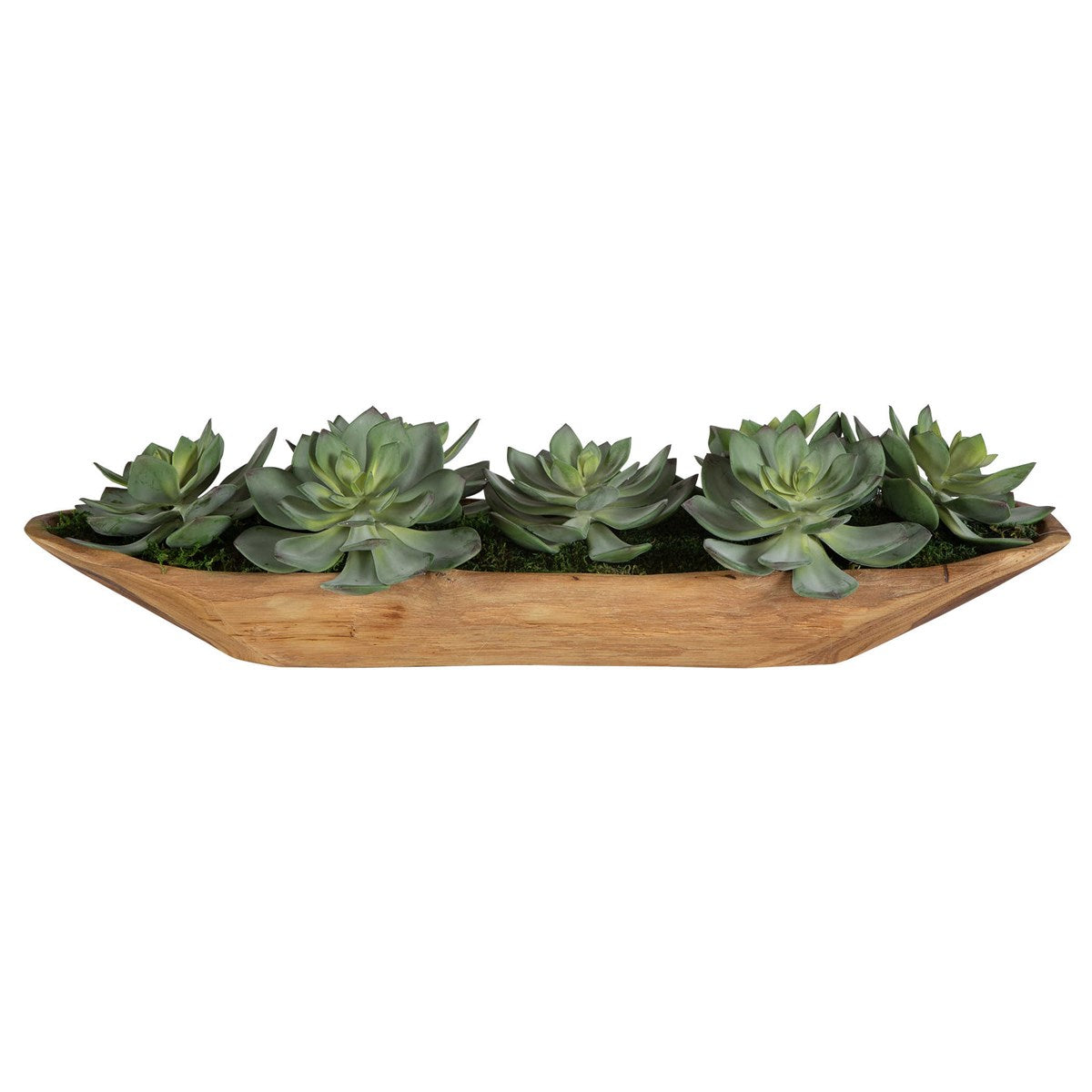 Yuma Succulent Centerpiece