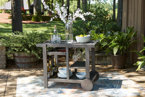 Terrace Serving Cart in Gray